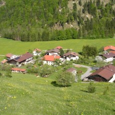 Blick auf den Weiler Innerwald, der Hamberger Hof ganz links