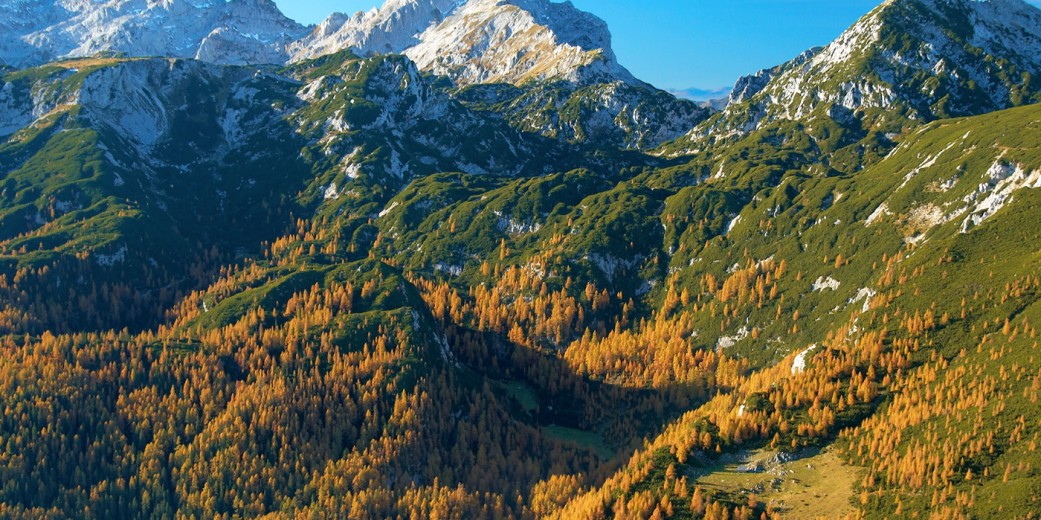 Dleskovška-Plateau (1.965 m) und Ojstrica (2.350 m)