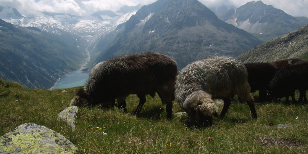 Blick auf Schlegeis-Stausee