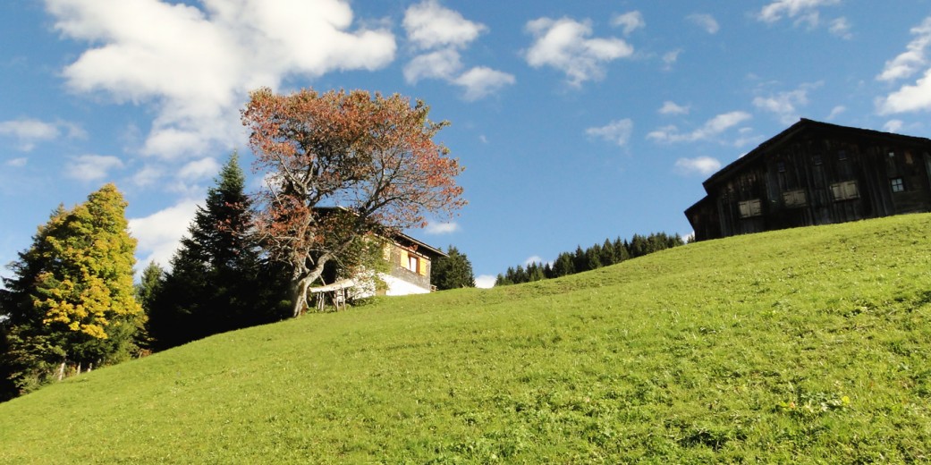 Bergbauernhöfe