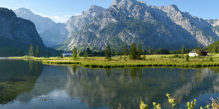 Der Almsee
