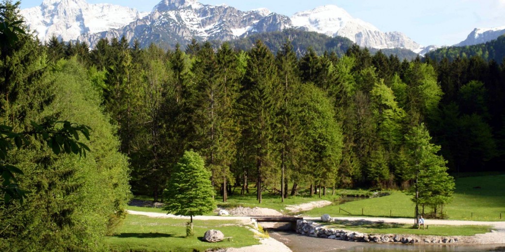 Der Cumberland Wildpark