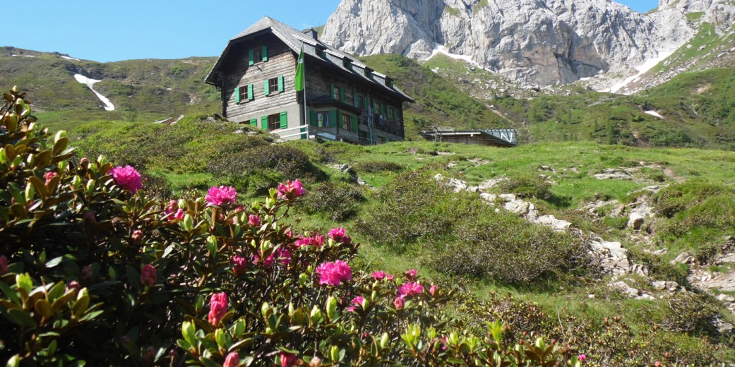 Das Hochweißsteinhaus