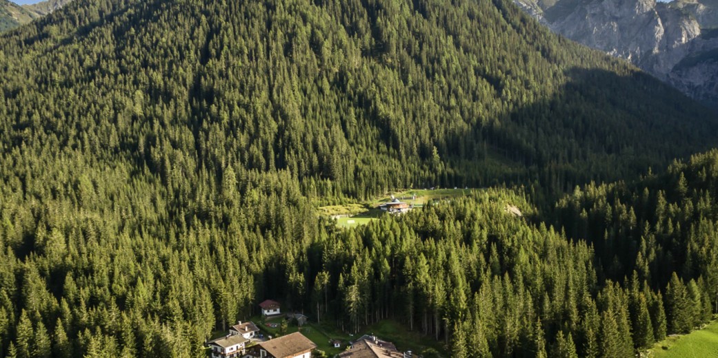 Die Waldruhe ist ganz von Wald  umgeben
