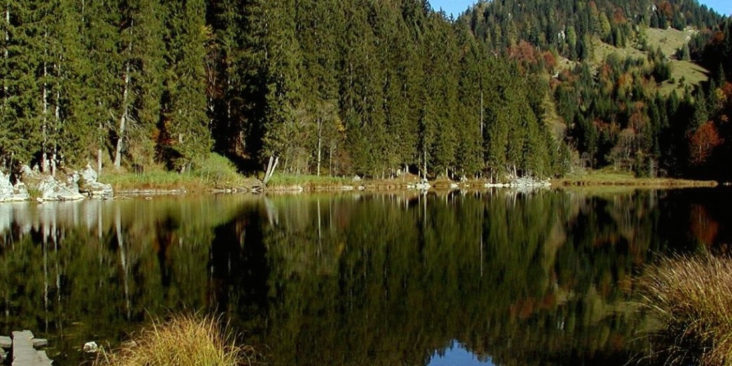 Der Taubensee