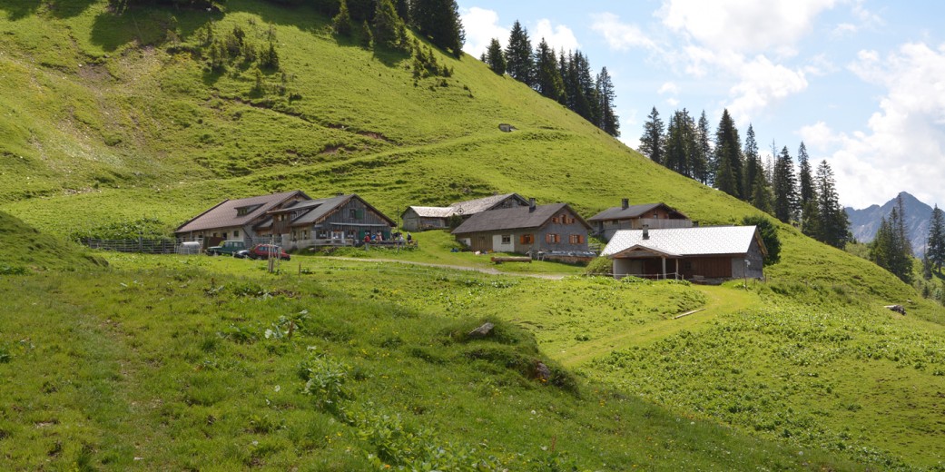 Alpe Türtsch bei Sonntag