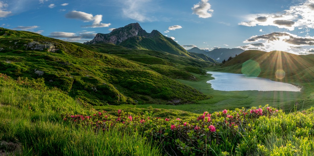 Zollnersee