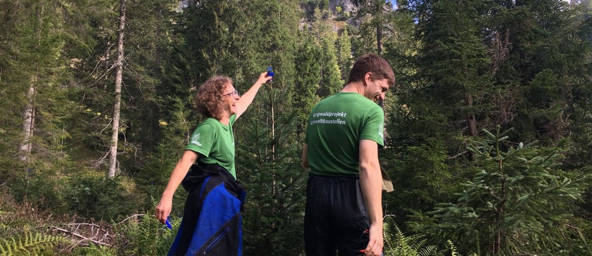 Freiwillige des Bergwaldprojekts