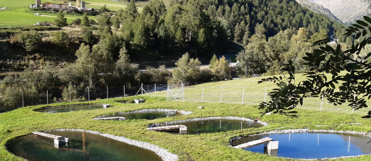 Die Fischzucht Saldur ist die erste bäuerliche Fischzucht in Südtirol