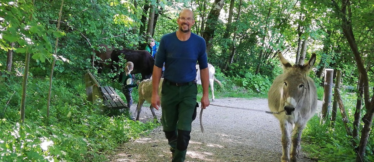 Andreas Vogt: gemütlich mit Eseln unterwegs
