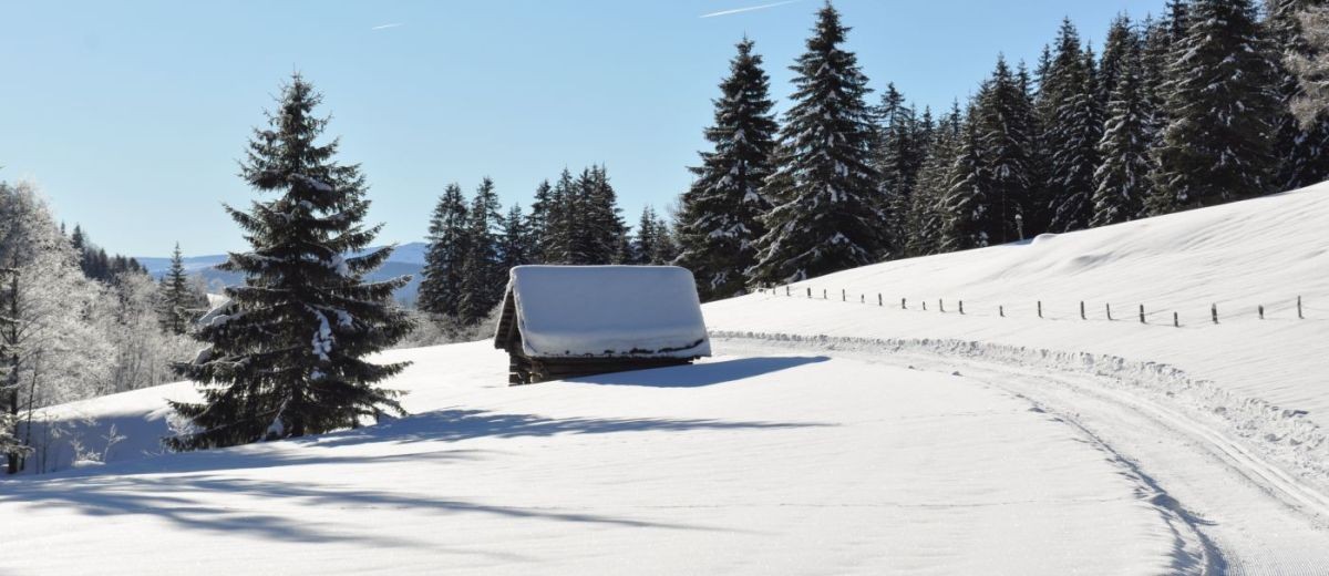 Winkel-Loipe im Göriachtal