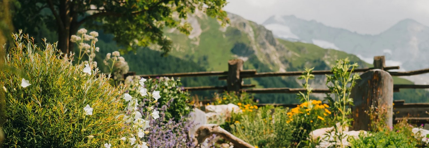 Alpenblumen- und -kräutergarten beim Gasthof Olpererblick in Schmirn