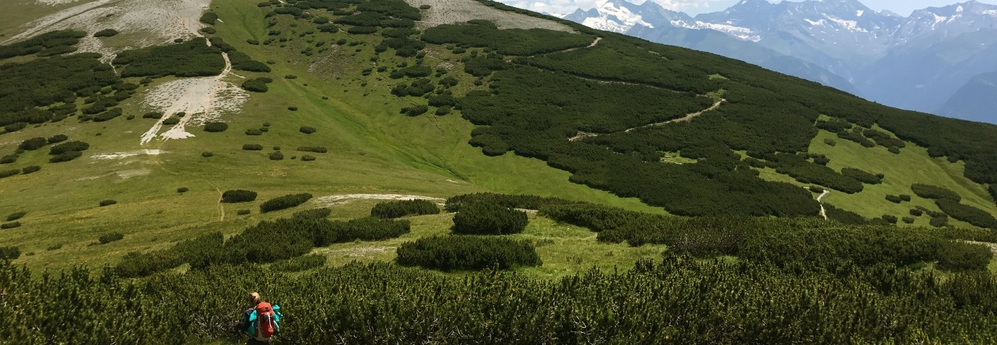 Am Romediusweg unterhalb der Blaserhütte