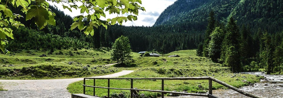 Über den Schwarzbach zur Alm
