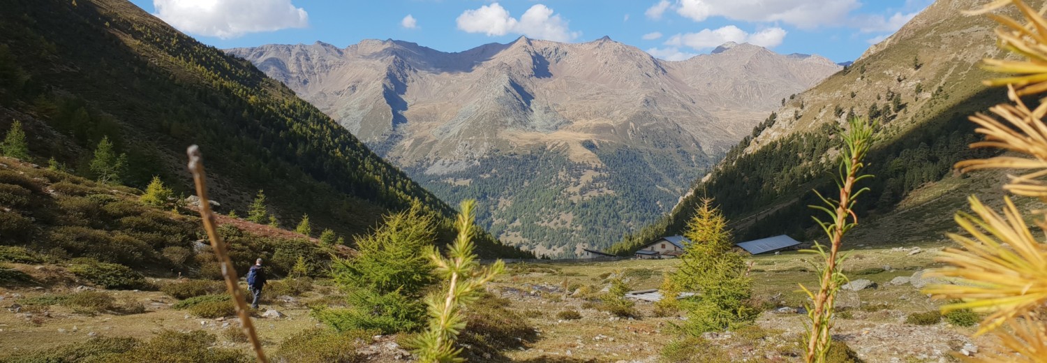 Die Upialm im Herbst (2.225 m)