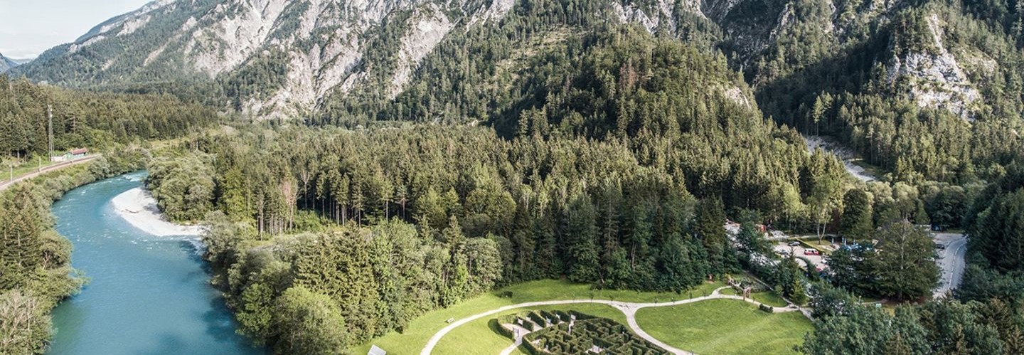 Der Weidendom im Nationalpark Gesäuse
