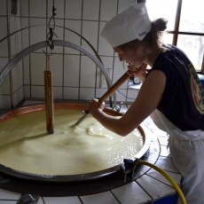 Die Herstellung eines hervorragenden Käses erfordert viel Handarbeit