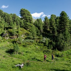 Der Aufstieg