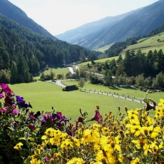 Ausblick vom Hof