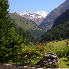 Herrliche Natur, herrlicher Ausblick