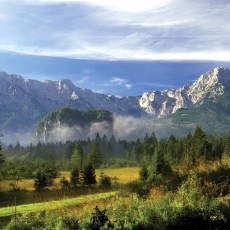 Beim Jagdhaus Schwarzenbrunn