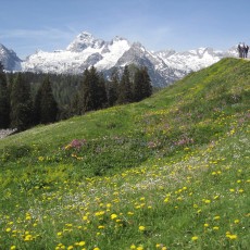 Auf der Kallbrunnalm im Frühling