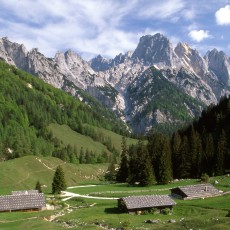 Blick auf die Bindalm mit den Felswänden der Reiteralpe im Hintergrund