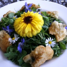 Leckeres mit Wildkräutern