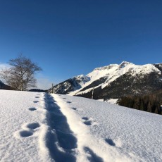 Winterlandschaft Steinberg am Rofan