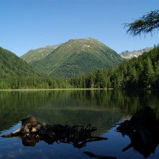 Etrachsee