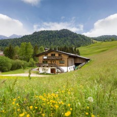 Ferienwohnung Gasteiger, mitten im Grünen