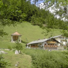 Das Gästehaus im Fühsommer