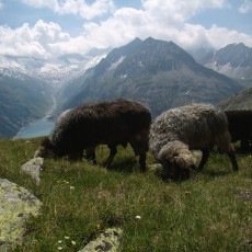 Blick auf Schlegeis-Stausee