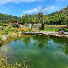 Der Garten mit Schwimmteich im August