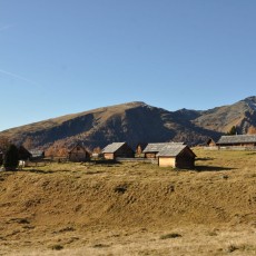 Granglitzalm im Herbst