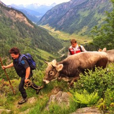 Auf dem Weg zur Alm