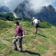 Heuernte auf der Mauthner Alm