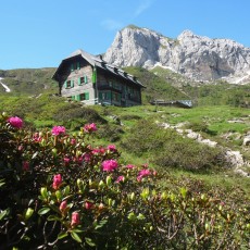 Das Hochweißsteinhaus