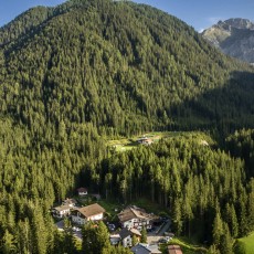 Die Waldruhe ist ganz von Wald  umgeben