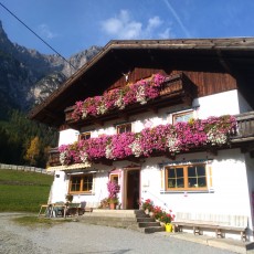 Blumengeschmückter Feiserhof