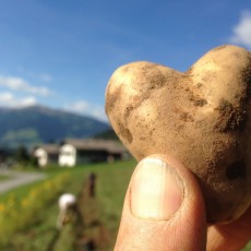 Herzige Kartoffel