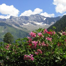 Blick vom Balkon auf die Zillertaler Alpen