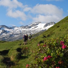 Der Keeskogel (2.886 m)