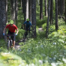 Langenau Trail in Kreuth.