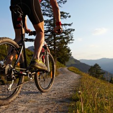 Mountainbiken in Hüttschlag im Großarltal