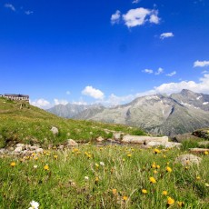 Olpererhütte (2.389 m) mit Blick auf den Olperer