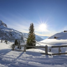 Ob bei Sonnenschein oder Schneegestöber - auf den Winterwegen in St. Antönien kann man den Alltag hinter sich lassen.