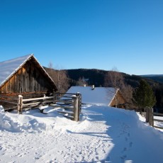 Winterwandern