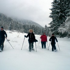 Schneeschuhwanderung durch den Hochwald