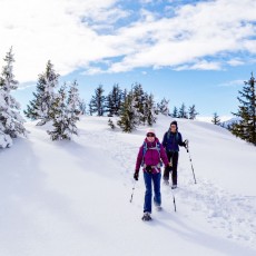 Die winterliche Landschaft mit Schneeschuhen erleben